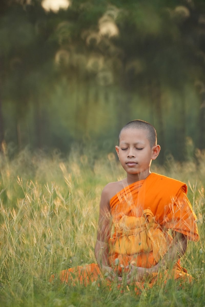 Meditation integration