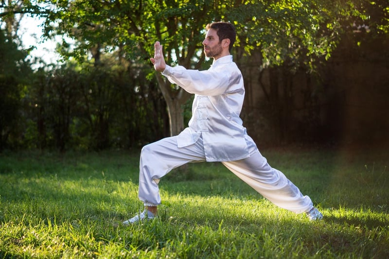 Mindful martial arts